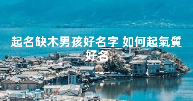 起名缺木男孩好名字 如何起氣質好名
